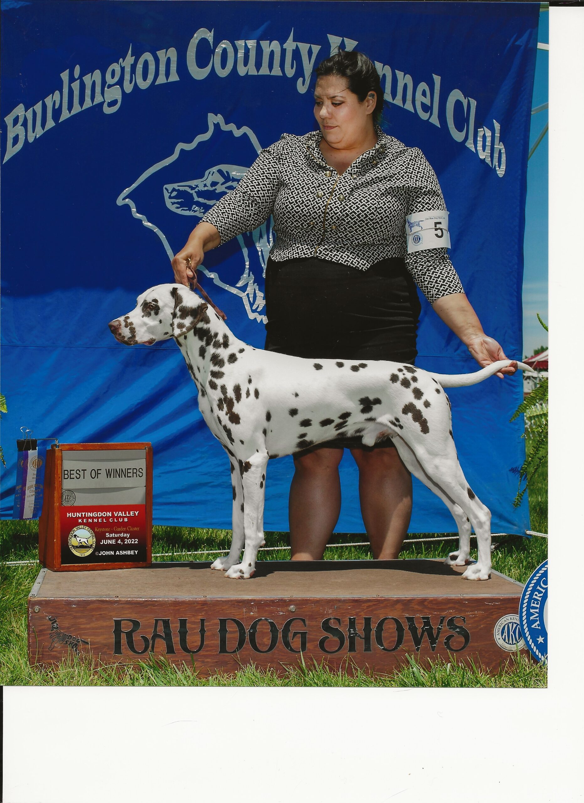 CH JLS Prince Charming At Clearbrook