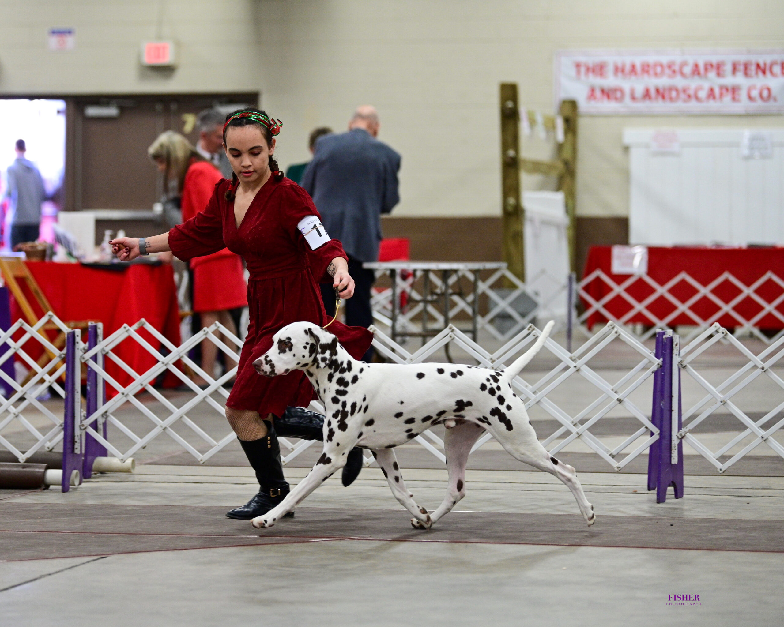 CH JLS Prince Charming At Clearbrook