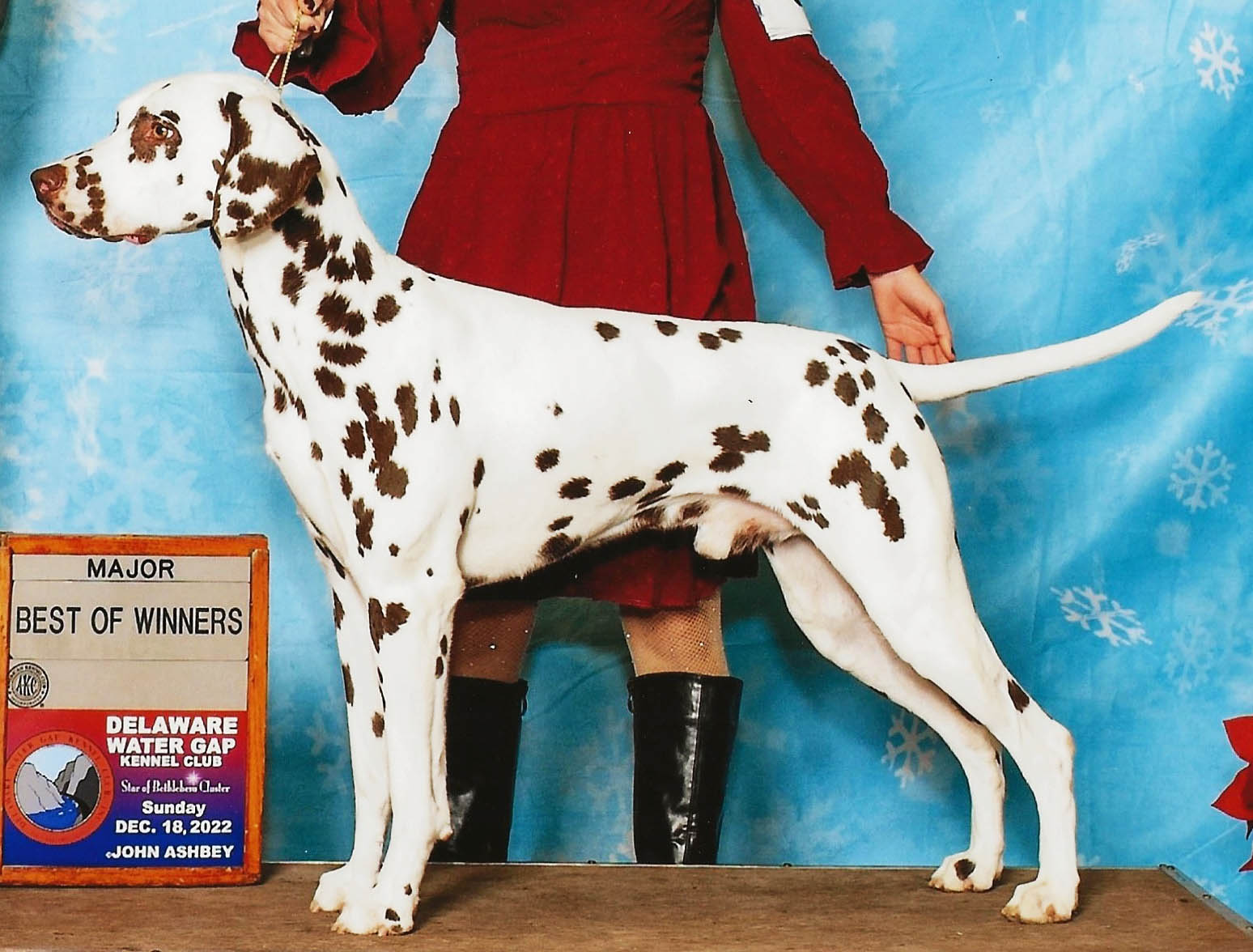 CH JLS Prince Charming At Clearbrook