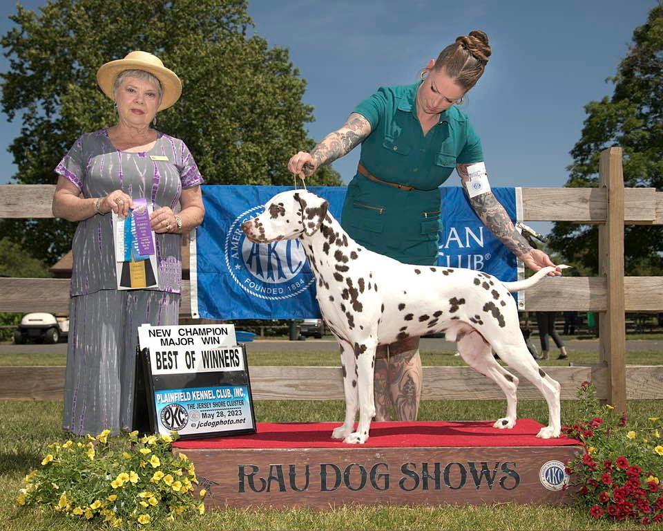 CH JLS Prince Charming at ClearBrook