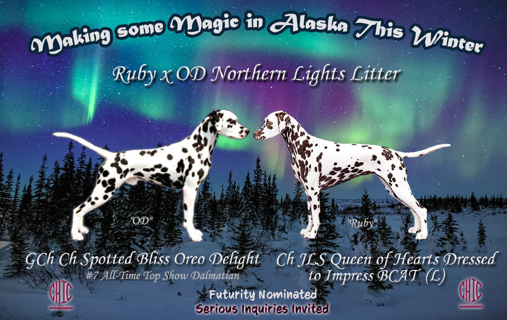 Ruby the Queen has found her Knight in Shining Armor!